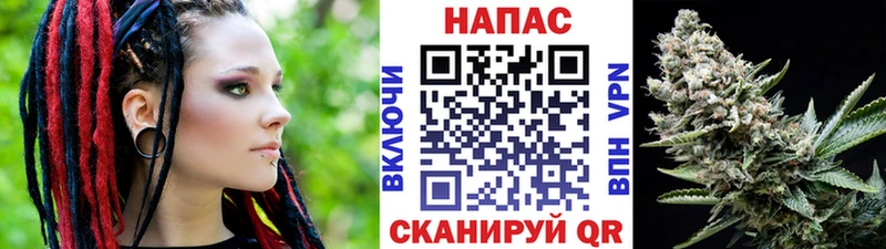 цена   Сатка  МАРИХУАНА SATIVA & INDICA 