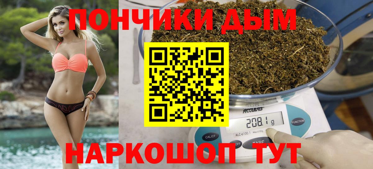 Бошки марихуана марихуана  Конопля AK-47  Бошки Шишки семена  Вход с VPN  Сатка 